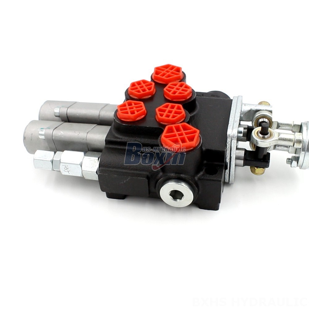 2 Spool Monoblock Directional Valve - P40 Series | OEM & Wholesale cover photo